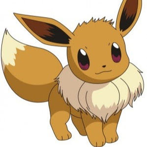 Meet your Posher, Evie